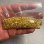Gold grains